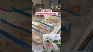 Spoiled Royal  Pup!  #diy #diydogfood #fyp #reelstrending  $5 rotisserie chicken from Costco!
