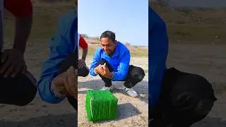 Emergency Life Hack 😂#mrindianhacker #foryou #explore #shorts #foryou #new