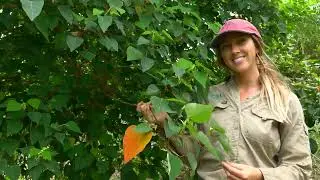 A Biodiversity Boost for Eureka NSW