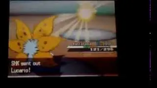 Shiny Wi Fi Battle against ShinyHunterKyle