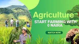3 Ways to Start Farming With Little or No Money (Nigerian Guide)