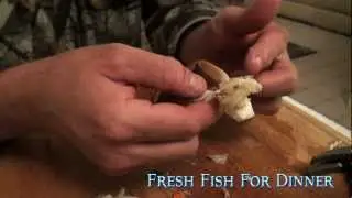 Fresh Fish For dinner 