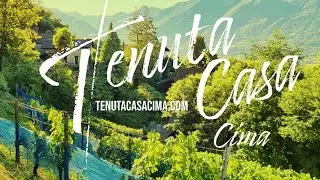 Tenuta Casa Cima Vineyards, Ticino Moments