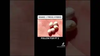 frog DNA +snake dna