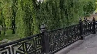 Feel the nature | Simferopol, Crimea, Russia | study in Russia