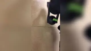 Тестдрайв/трайвертайзинг двойного вакуумного держателя Festool GECKO DOSH
