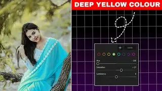 Deep Yellow Tone Photo Editing New || Lightroom Yellow Copy Paste Editing - DN Editor