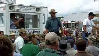 TRI COUNTY AUCTION CO of Central Illinois