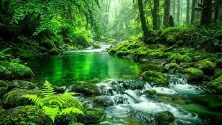 Peaceful Forest Stream Flow, Birds Singing in Harmony, Relaxing Nature Sounds for Deep Calm
