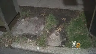 USPS Mailboxes Stolen In Yonkers