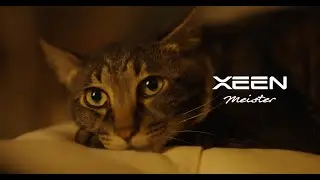 XEEN Meister footage 35mm 50mm 85mm