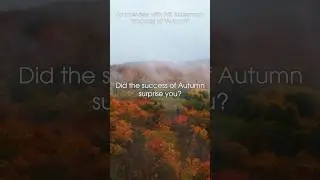 Will Ackerman Interview Q4 #georgewinston #autumn #autumnmusic #fallmusic #piano #solopiano #fall