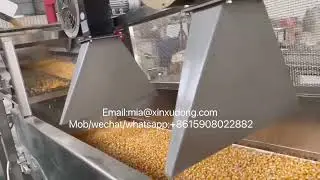 Corn processing line sweet corn freezing machine blanching machine frozen corn production line