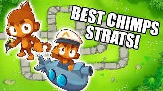 BEST CHIMPS Starting Monkeys
