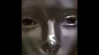 The Lisa Scare
