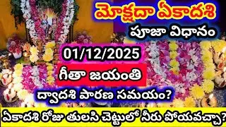 Mokshada ekadasi 2025 pooja vidhanam | మోక్షదా ఏకాదశి పూజా విధానం|mokshada ekadasi pooja ela cheyali