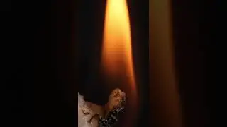 Styrofoam and Fire Close Up #macroobjectsatisfying #macromagic #asmrvideo