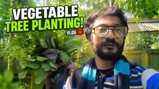 Vegetable Planting Day 🌿 | My Garden Vlog