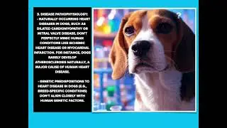 Join in Facebook -- Campaign to ban animal testing and research in the UK.  