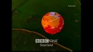 Assorted BBC One Scotland continuity (c.June & July 1999)