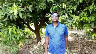 Mango Farm Visit and Tutorial Bhavnagar(Gujarat)