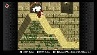 Donkey Kong Country: 3-4 Temple Tempest