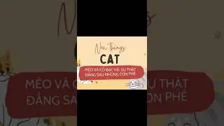 M&egrave;o v&agrave; bạc h&agrave; m&egrave;o #cat #newthings #m&egrave;o