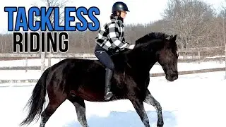 RIDING MY HORSE TACKLESS | In The Snow