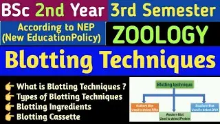 BSc 2nd  Year 3rd Semester Zoology Unit 8//Blotting Techniques/Types of Blotting Techniques in Hindi