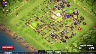 cheno base #1