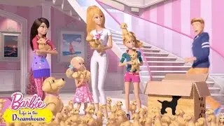 Des chiots partout | @BarbieFran&ccedil;ais