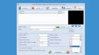 How to use ALO AVI MPEG WMV 3GP MP4 iPod PSP Converter