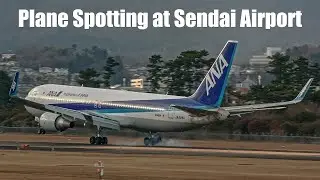 🔴LIVE | 仙台空港 飛行機の離着陸 ライブ配信 Plane Spotting at Sendai Airport HC-X1600
