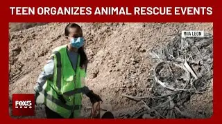 Las Vegas Valley teen making difference, organizes animal rescue events during holidays