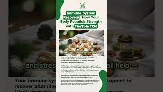 IMMUNE SYSTEM RECOVERY: HOW YOUR BODY REBUILDS STRENGTH - TheTole Acupuncture & TheTole Herbs