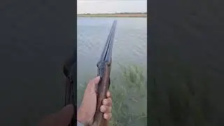 classic english double barrel shotgun #shotgun #hunting #safetyfirst #safe