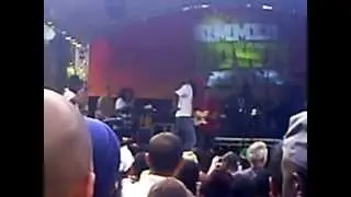 stikki tantafari simmer down handsworth park 2013