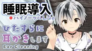 【Binaural/ダミーヘッドマイク】本気で眠りたい人のためのじっくり奥まで耳かき 2025.6.18【にじさんじ/鈴木勝】
