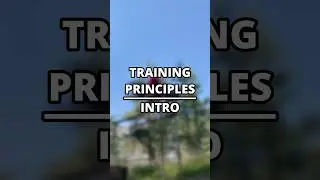 training principles - intro