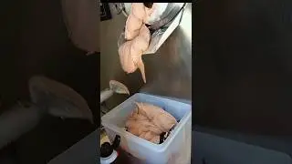 Como tirar sorvete na consist&ecirc;ncia correta #shorts #sorvete