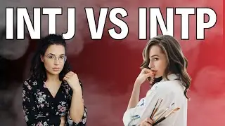 INTJ vs INTP Differences - Personaity Type