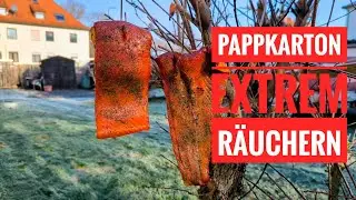 (Eis-) Kalträuchern im Pappkarton - Das Experiment mit Lachs Forelle ↓ Klapp auf  ↓