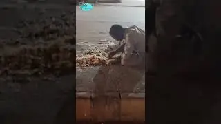 Please Help Poor People's For Batter World | Give Food To Poor Kids | Poor People Help Video| #viral