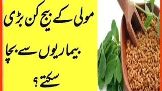Moli ke Beej Kin Badi Bimariyo se bacha sakte hain || Kitchen Tips-Radish seeds @Voice of Mahi Syed