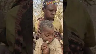 siptii enjoy lunch time in the wild bush#hadzabetribe #africantribe #bushlife #africa #bushmenlife