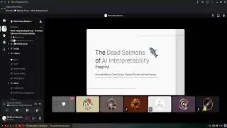 Mech Interp Reading Group -  The Dead Salmons of AI Interpretability