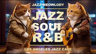 Warm Winter Lounge Jazz Soul RnB Instrumental for Focus, Work & Relax from The Cat's Band