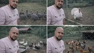 Avicultura , natural 🐥 patos  de corral