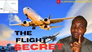 The SCIENCE behind FLIGHT! // principles governing lift // summary of flight mechanisms.