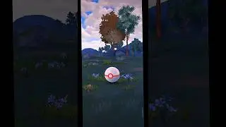 Day 7 Hunting for Shiny Shadow from Team Rocket Grunt / Pokemon go /#pvp#pokemon